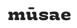 logo Musae